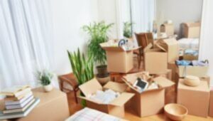 Packers and Movers Arekere Bangalore