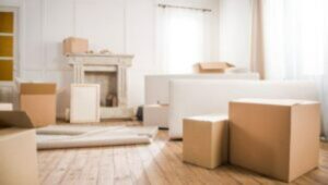 Packers and Movers Electronic City Bangalore