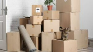 Packers and Movers Hebbal Bangalore