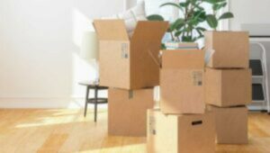 Packers and Movers Kammanahalli Bangalore