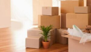 Packers and Movers KR Puram Bangalore