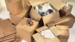 Packers and Movers Mahadevapura Bangalore